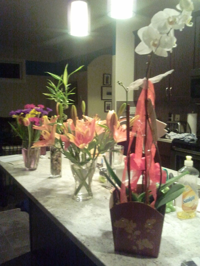 So My Wife Was Mad At Me Last Week And Said Not To Bother Getting Her Flowers For Valentine's Day. I Obeyed Her Wishes And Just Got Her Flowers Every Other Day This Week