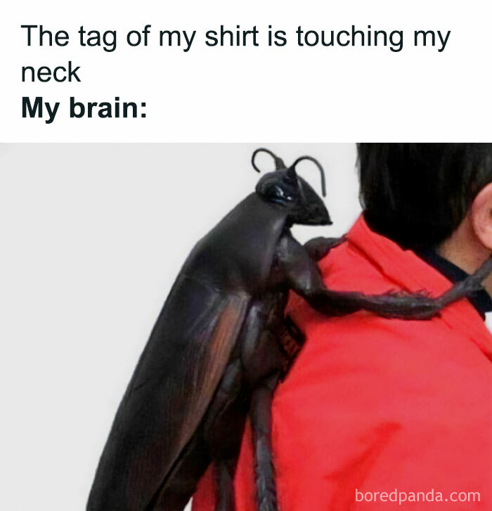 It's So True, It Hurts