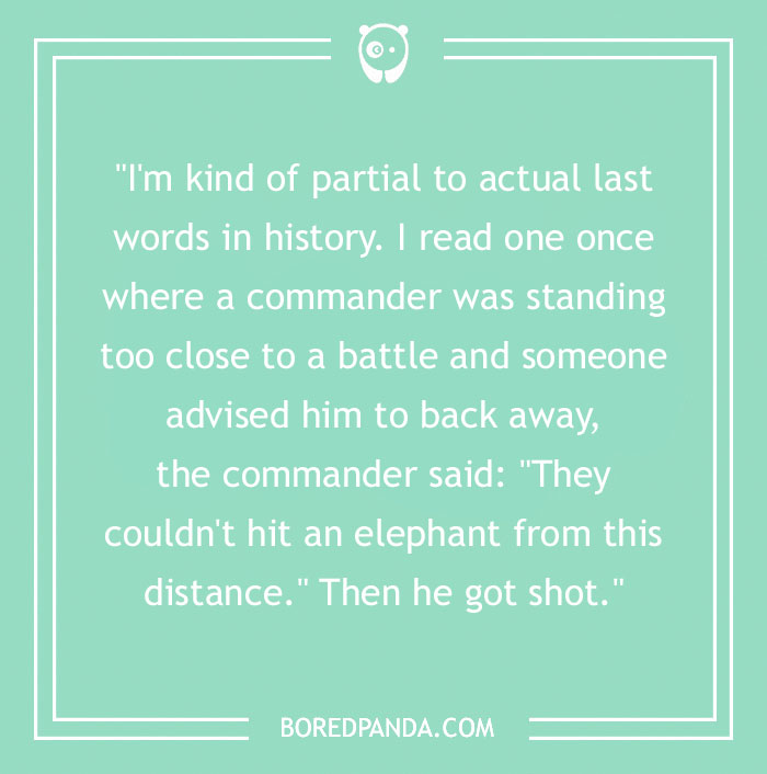 98 Funny Last Words That Are Pure Comedy Gold