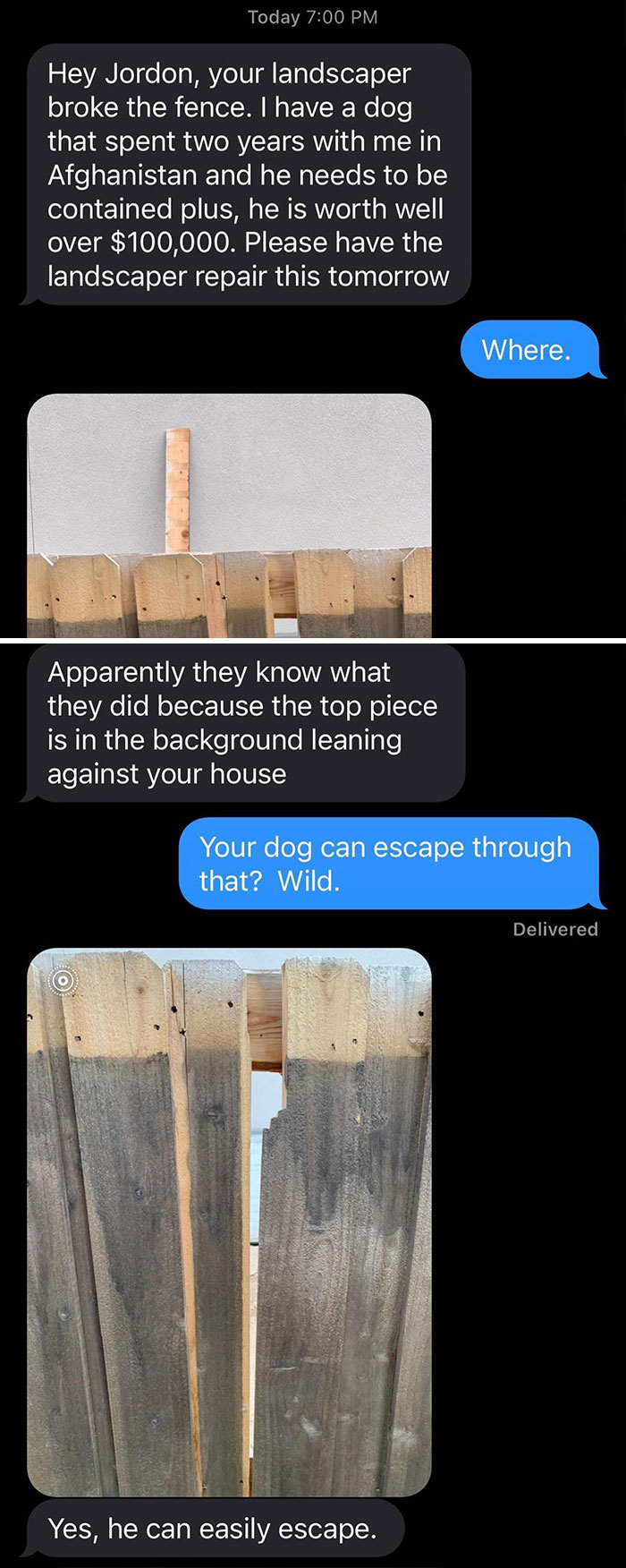 When Your Pet Is Also A Looney Tunes Character