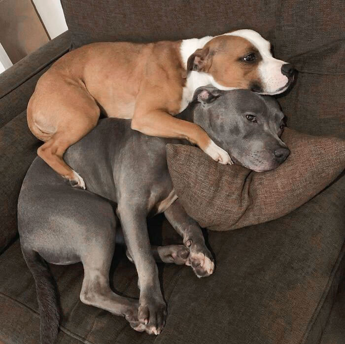 The Warmest Place In The House