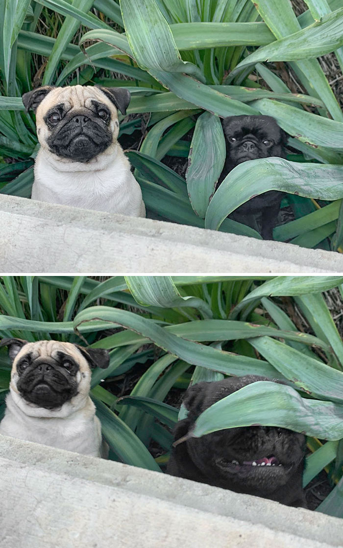 Murph Hiding From Margot