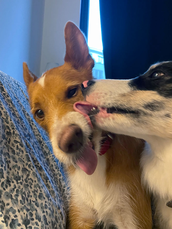 What Having A Younger Sibling Is Like