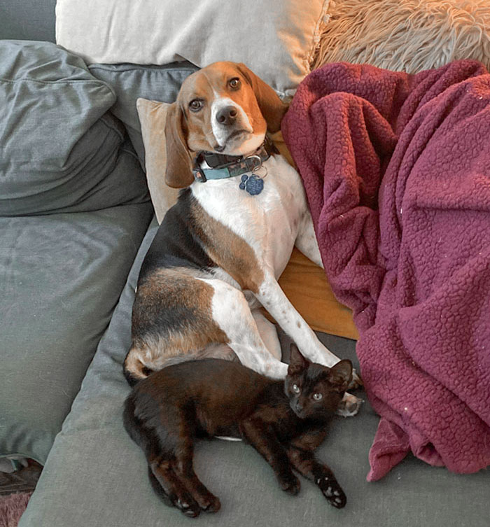 Someone Isn’t So Sure About Their New Sister