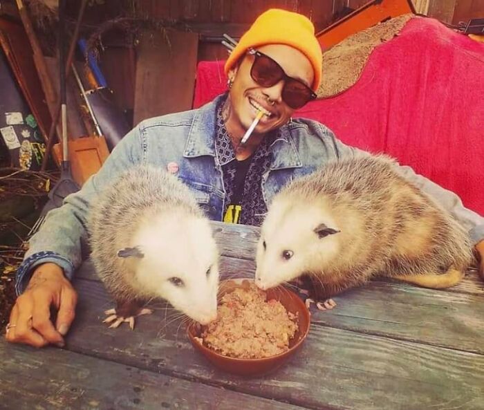 Funny-Pics-Humans-Doing-Human-Things