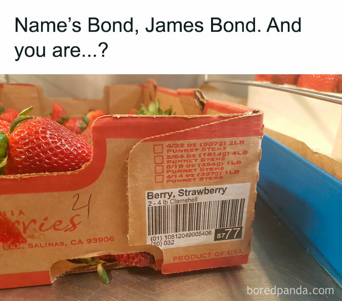 Funny-Pun-Bible-Memes