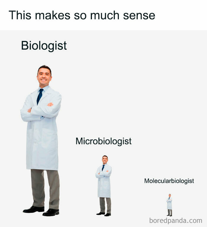 Funny-Pun-Bible-Memes