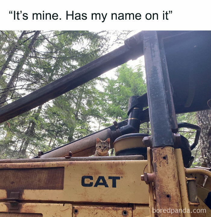 Funny-Pun-Bible-Memes