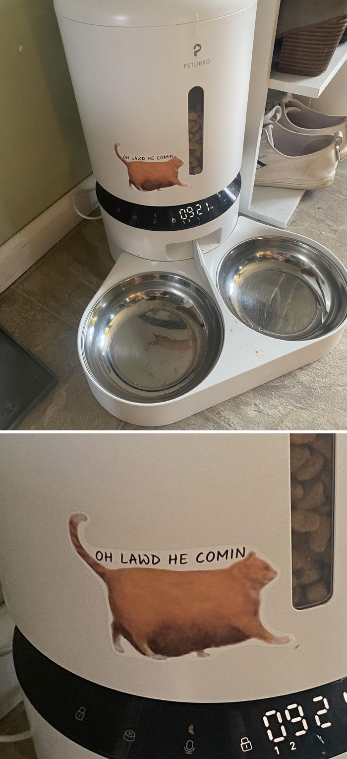 The Wife’s Addition To Our Automatic Cat Feeder