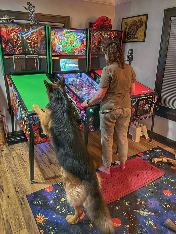 My Wife Is Trying To Teach Patrick TMNT, But He Really Wants To Play Godzilla