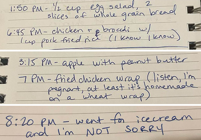 Skimmed Through My Pregnant Wife’s Food Log Over The Past Couple Of Weeks And Can’t Stop Giggling