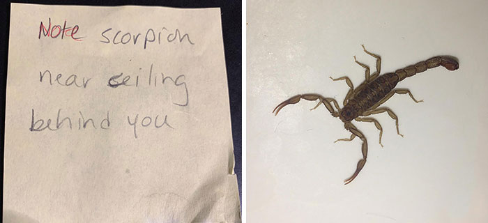 Found This Note From My Wife On The Bathroom Mirror. I Turned Around Expecting A Trick Rubber One Or Something