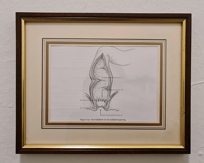 My Boyfriend Asked Me To Find Art To Hang Above The Toilet