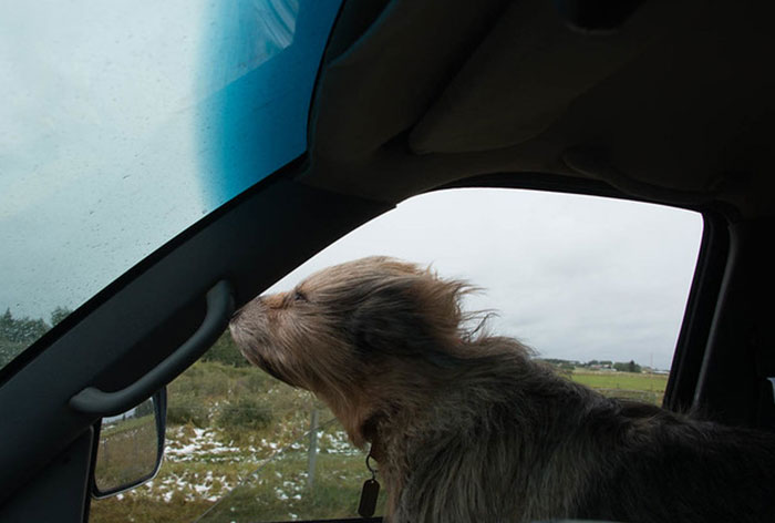 35 Times People Made A Spontaneous Decision That Ended Up Being 'Genius'