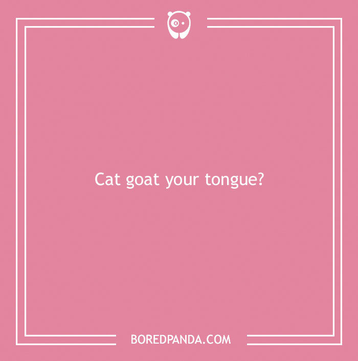 140 Of Simply Maaa-rvelous Goat Puns