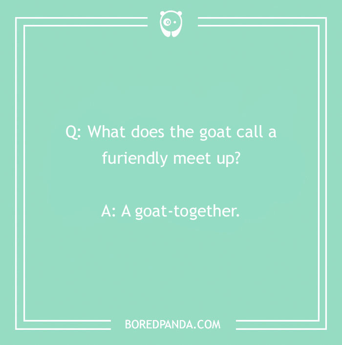 140 Of Simply Maaa-rvelous Goat Puns