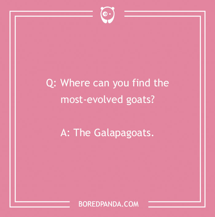 140 Of Simply Maaa-rvelous Goat Puns
