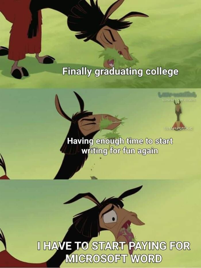 Courtesy Of Llamaposting