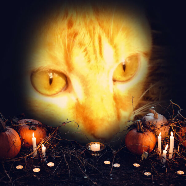 I'd Lose Her In A Pumpkin Patch...lol. "Harmony"