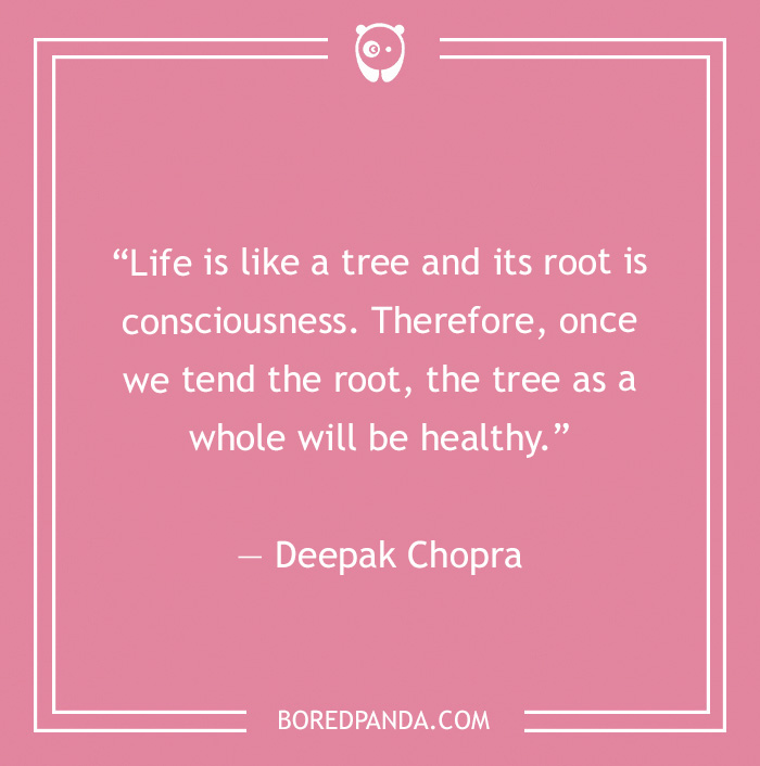 172 Health Quotes To Inspire You To Become The Healthiest Version Of You - 11