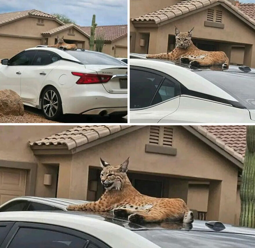 Guess Someone's Gonna Be Late For Work