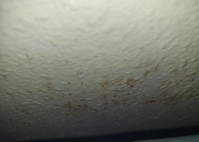 “These Mean Bedbugs”: People Reveal 30 Red Flags In Hotels That All Travelers Should Know