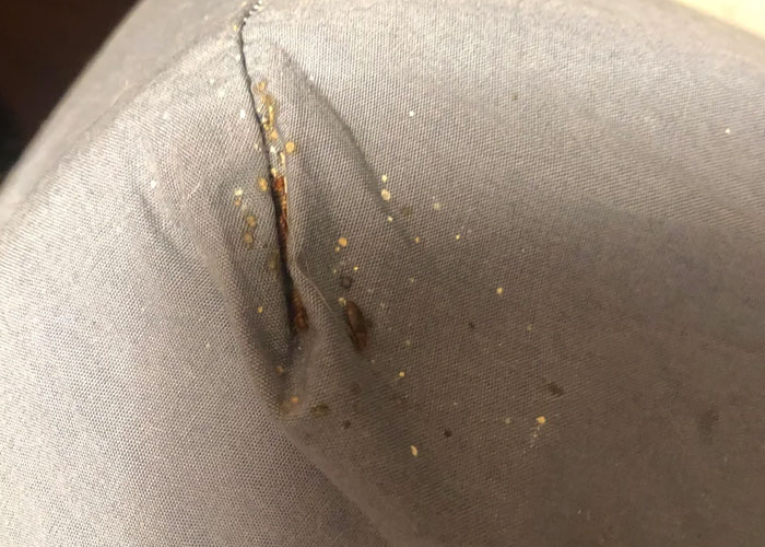 “These Mean Bedbugs”: People Reveal 30 Red Flags In Hotels That All Travelers Should Know