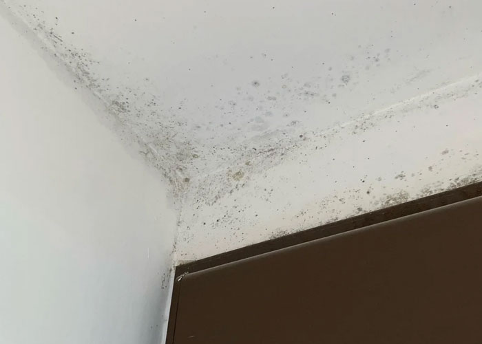 “These Mean Bedbugs”: People Reveal 30 Red Flags In Hotels That All Travelers Should Know