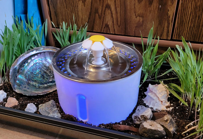 Cat water fountain surrounded by plants and rocks, highlighting hydration importance.