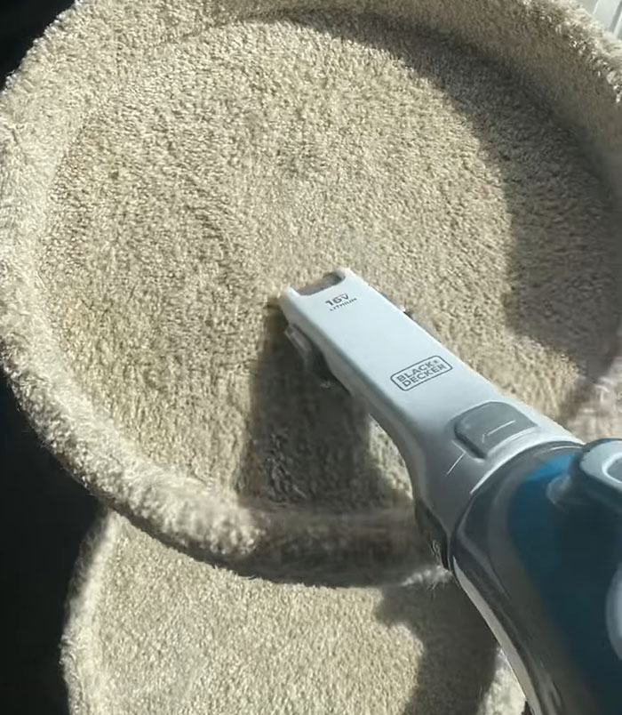 Handheld vacuum cleaning a cat tree surface. Handheld vacuum cleaning a cat tree surface.