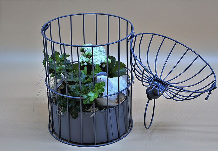 Plants in a decorative cage to keep cats away, surrounded by greenery. Plants in a decorative cage to keep cats away, surrounded by greenery.