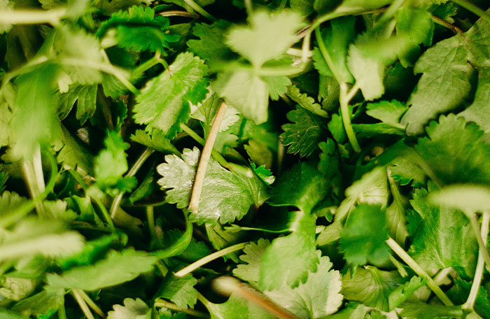 “I Refuse To Believe A Single Soul Wants To Eat It”: 35 People Share Overhyped Foods