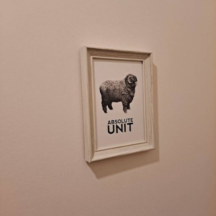 Behold The Bounteous Behemoth (That Is, Just Like It Says, An Absolute Unit) That'll Have Guests Bleating With Admiration. No Grazing Over This Piece; It's A Conversation Shepherd's Dream!