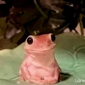 denisevanburen avatar