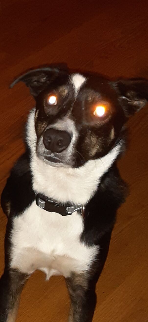 Just My Lil Baybay Demon