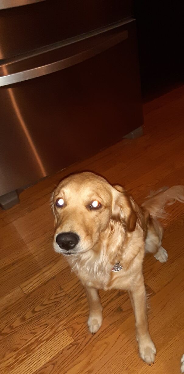 My Other (Less Scary) Lil Baybay Demon