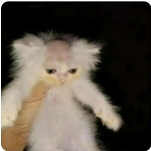 christinemurray803 avatar