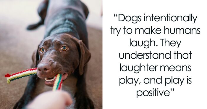 35 Of The Most Brain-Scrambling “Today I Learned” Facts (New Facts)