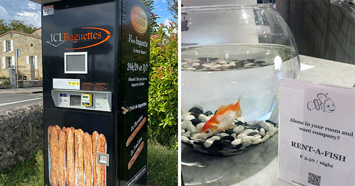 50 Mildly Interesting Experiences Tourists Had While Visiting Other Countries (New Pics)