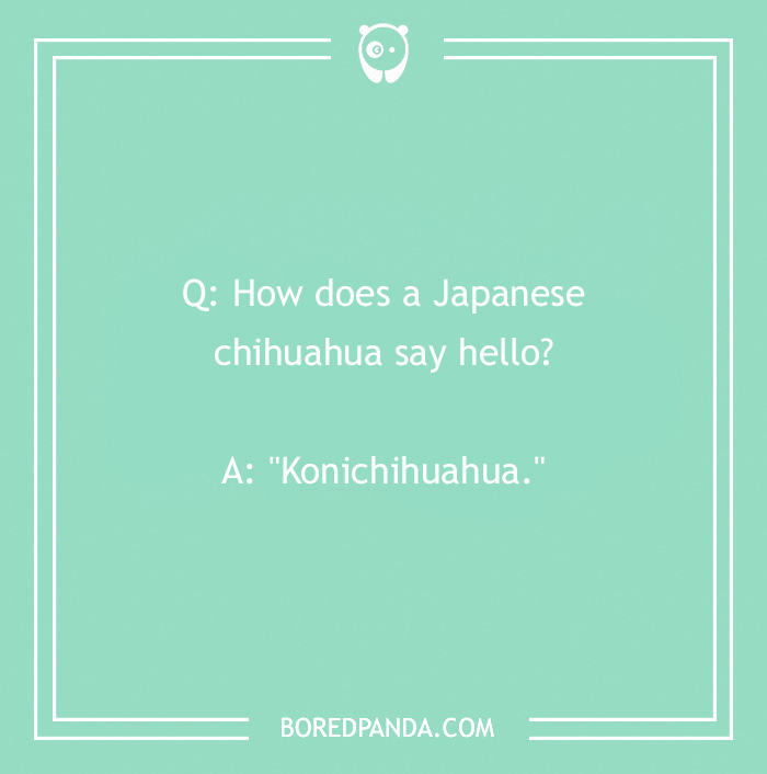 Text joke about dogs with a play on words featuring a chihuahua saying "Konichihuahua."