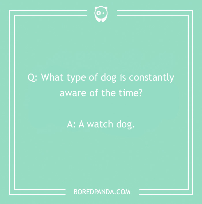 Dog joke about a "watch dog" on a green background from BoredPanda.