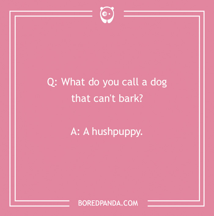 Dog joke on a pink background: "What do you call a dog that can't bark? A hushpuppy."
