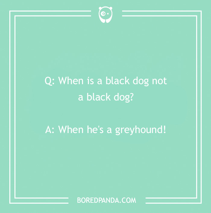 Dog joke on green background: "Q: When is a black dog not a black dog? A: When he's a greyhound!"