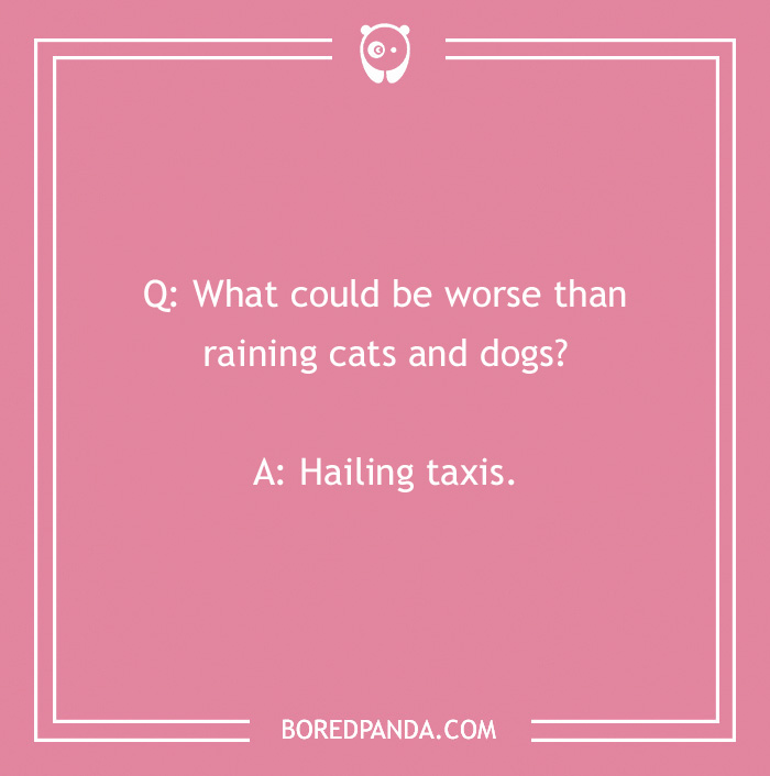 Dog joke on a pink background: "What could be worse than raining cats and dogs? Hailing taxis."