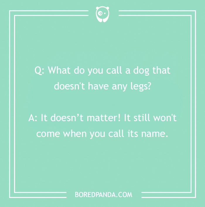 Dog joke on a green background: "What do you call a dog without legs? It won't come when you call its name."