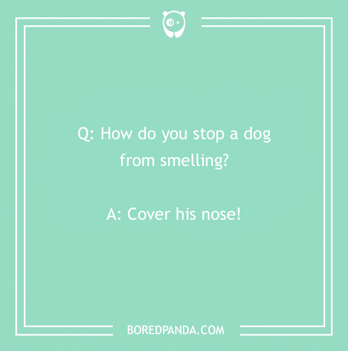 Dog joke: "How do you stop a dog from smelling? Cover his nose!" on a mint green background.