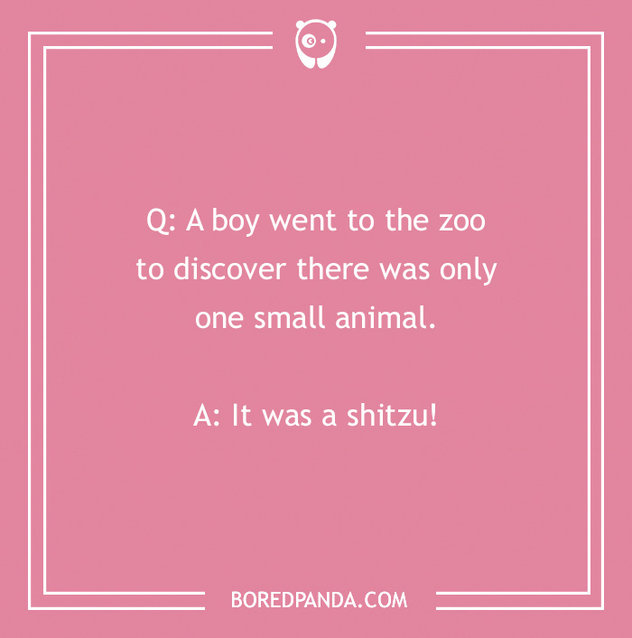 Text graphic with a dog joke: "Q: A boy went to the zoo... A: It was a shitzu!" Pink background with white border.