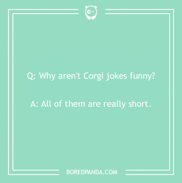 Corgi jokes image with a playful question and punchline, highlighting humor about dogs.