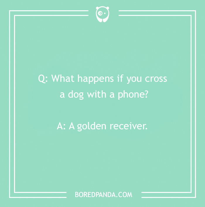 Dog joke: "What happens if you cross a dog with a phone? A golden receiver."
