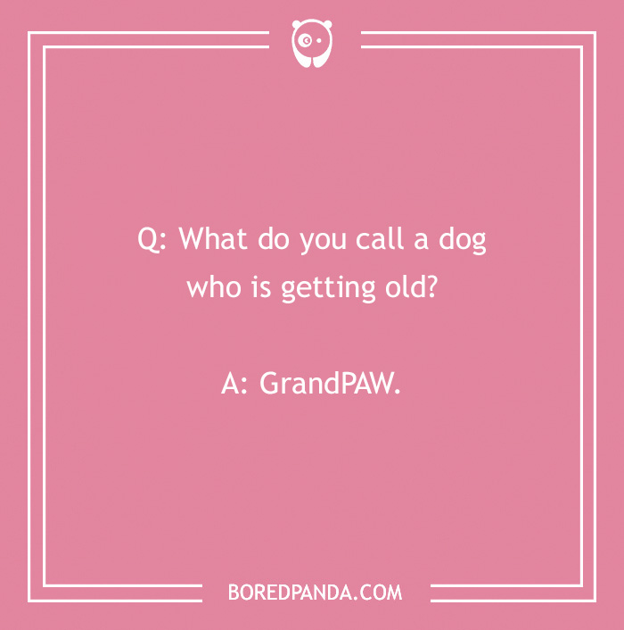 Dog joke on a pink background: "What do you call a dog who is getting old? GrandPAW."